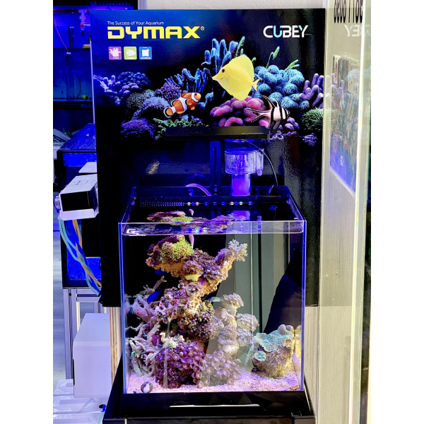 Dymax GS5 32cm Cubey Marine - Image 4