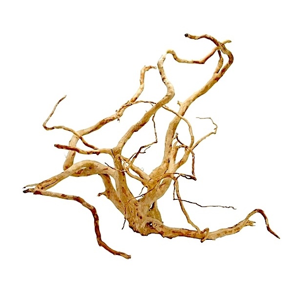 Wood Root - Medium / 31-40CM / box - Image 2