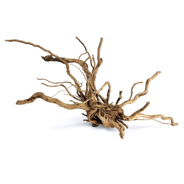 Wood Root - Medium / 31-40CM / box - Image 3